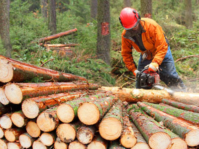 Rusya ve Belarus Menşeli Orman Ürünleri Hakında Bildirimler