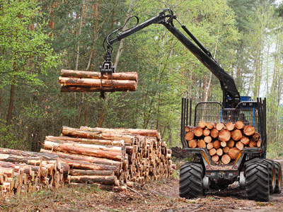 PEFC’nin Rusya ve Beyaz Rusya menşeli keresteler için (ihtilaflı) kararı!