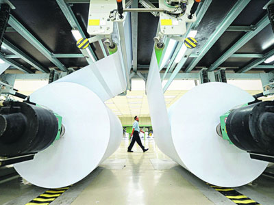 Bakir Ormanların Korunmasına Kişisel Katkımız Olabilir