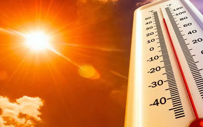Ormanlar En İyi Komşularımızdır, Ağaçları Koruyalım