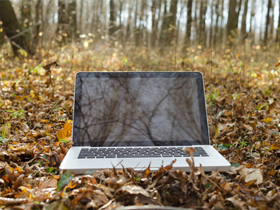 FSC® Check Yürürlüğe Girmiştir