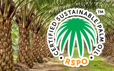 Palmiye Yağı Sorununa Sürdürülebilir Çözüm RSPO