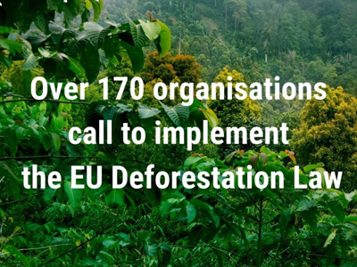 FSC® ve 170’den fazla Sivil Toplum Kuruluşundan AB Komisyonu Başkanına EUDR Hakkında Mektup