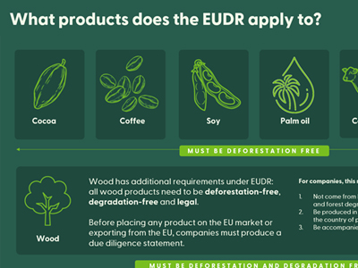 “FSC®, EUDR’ye Uyumlu Oldu” – Lansman Duyurusu